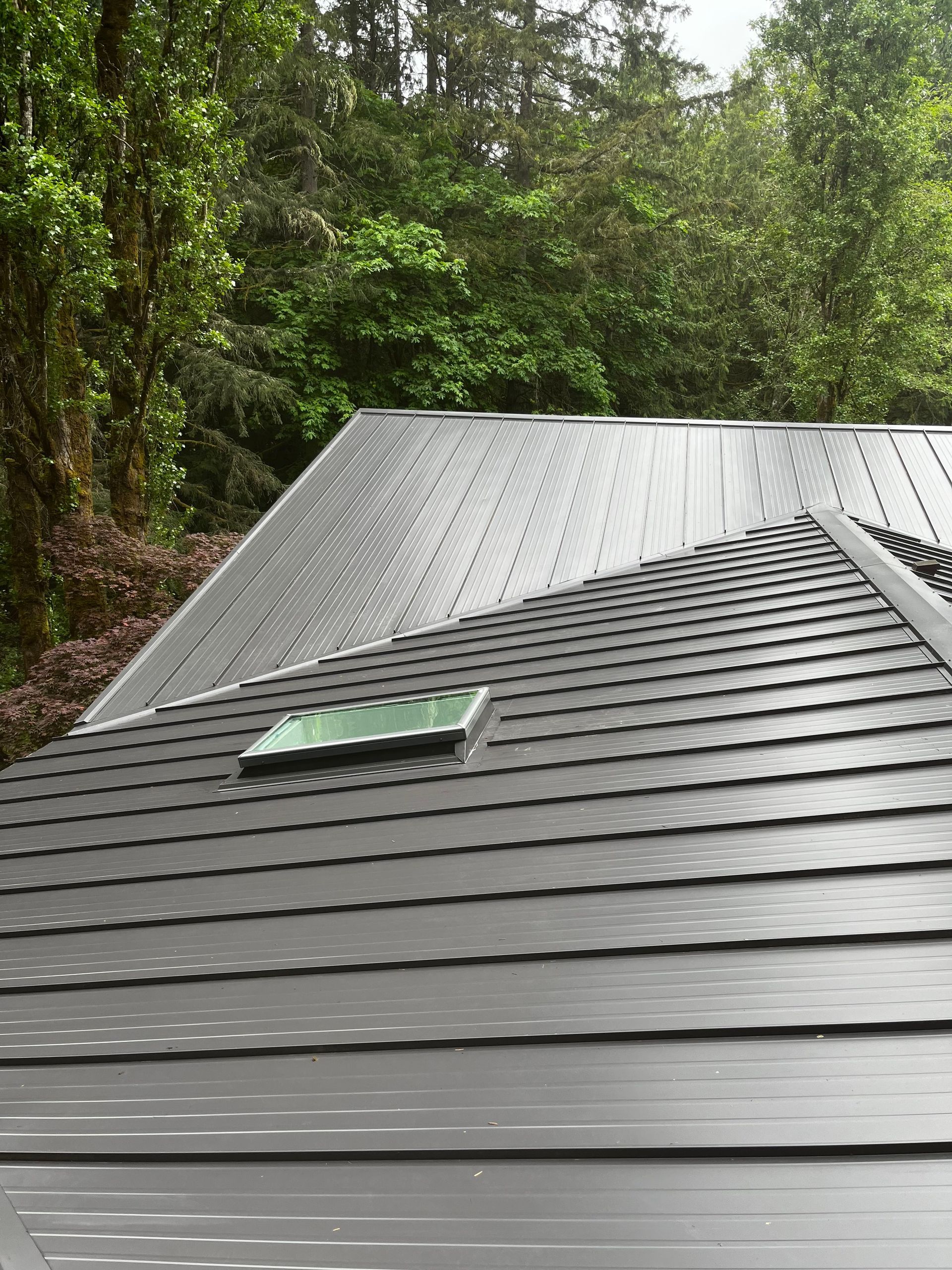 Gray metal roof with a skylight, surrounded by dense green trees and forest