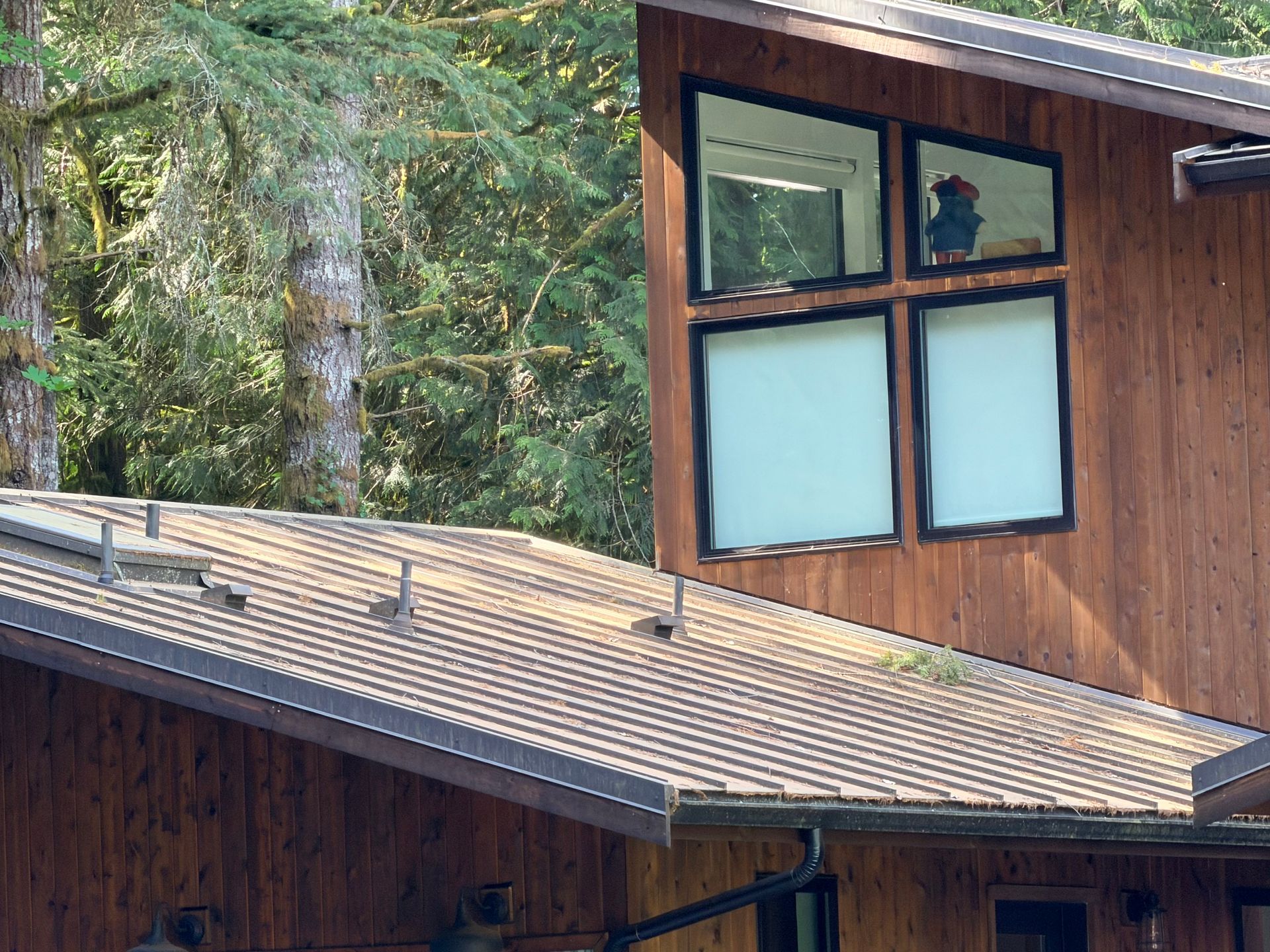 Wooden house exterior with large windows and sloped shingled roof surrounded by trees