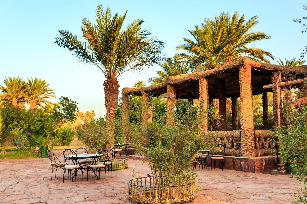 A patio with tables and chairs under a pergola surrounded by palm trees.