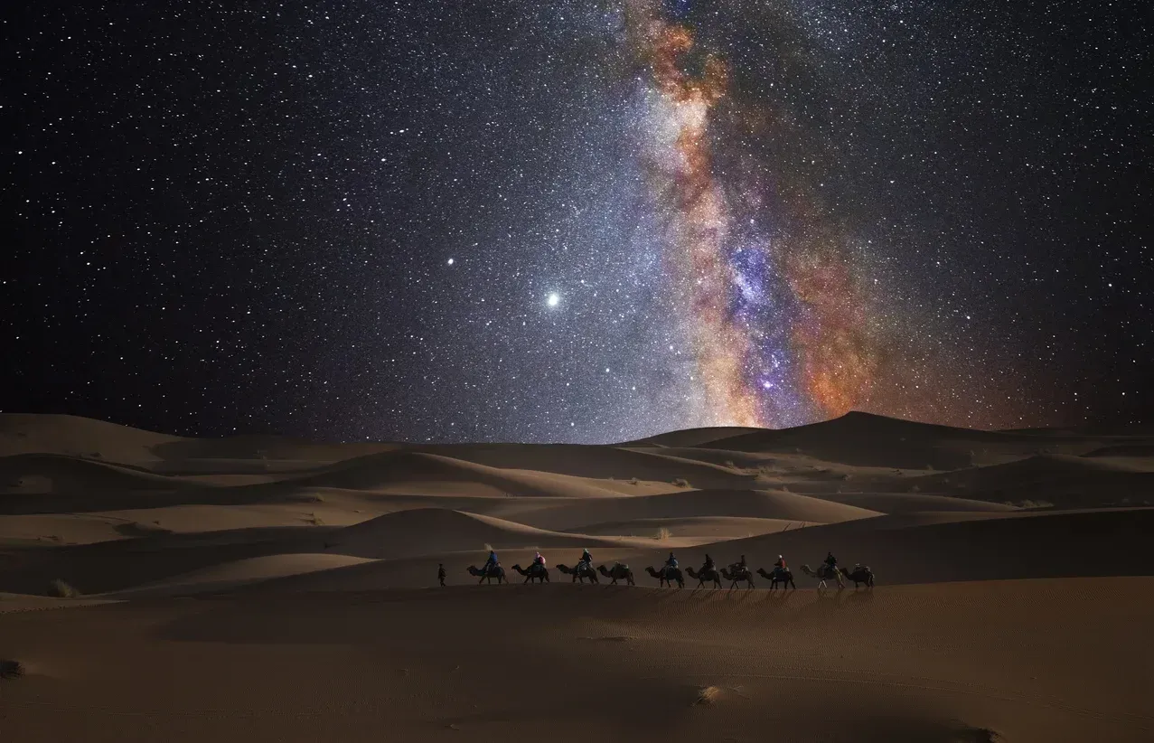 A group of camels are riding through a desert at night under a starry sky.