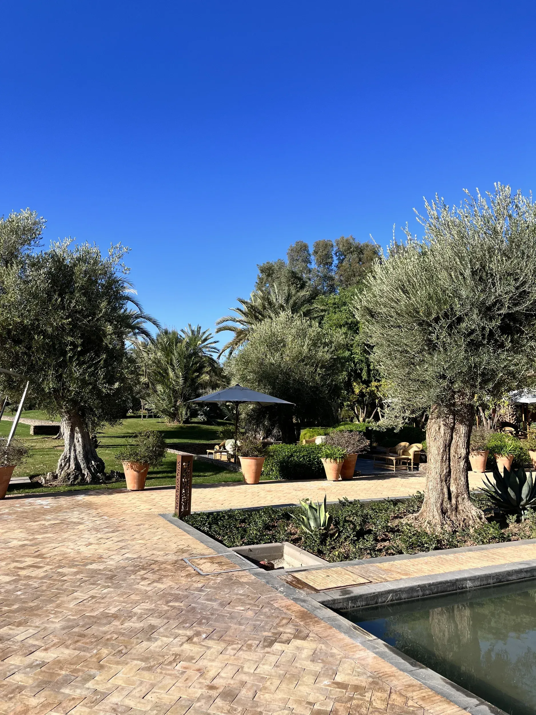 There is a swimming pool in the middle of a garden surrounded by trees.