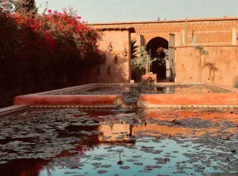 A large pool of water with lily pads in front of a brick building.
