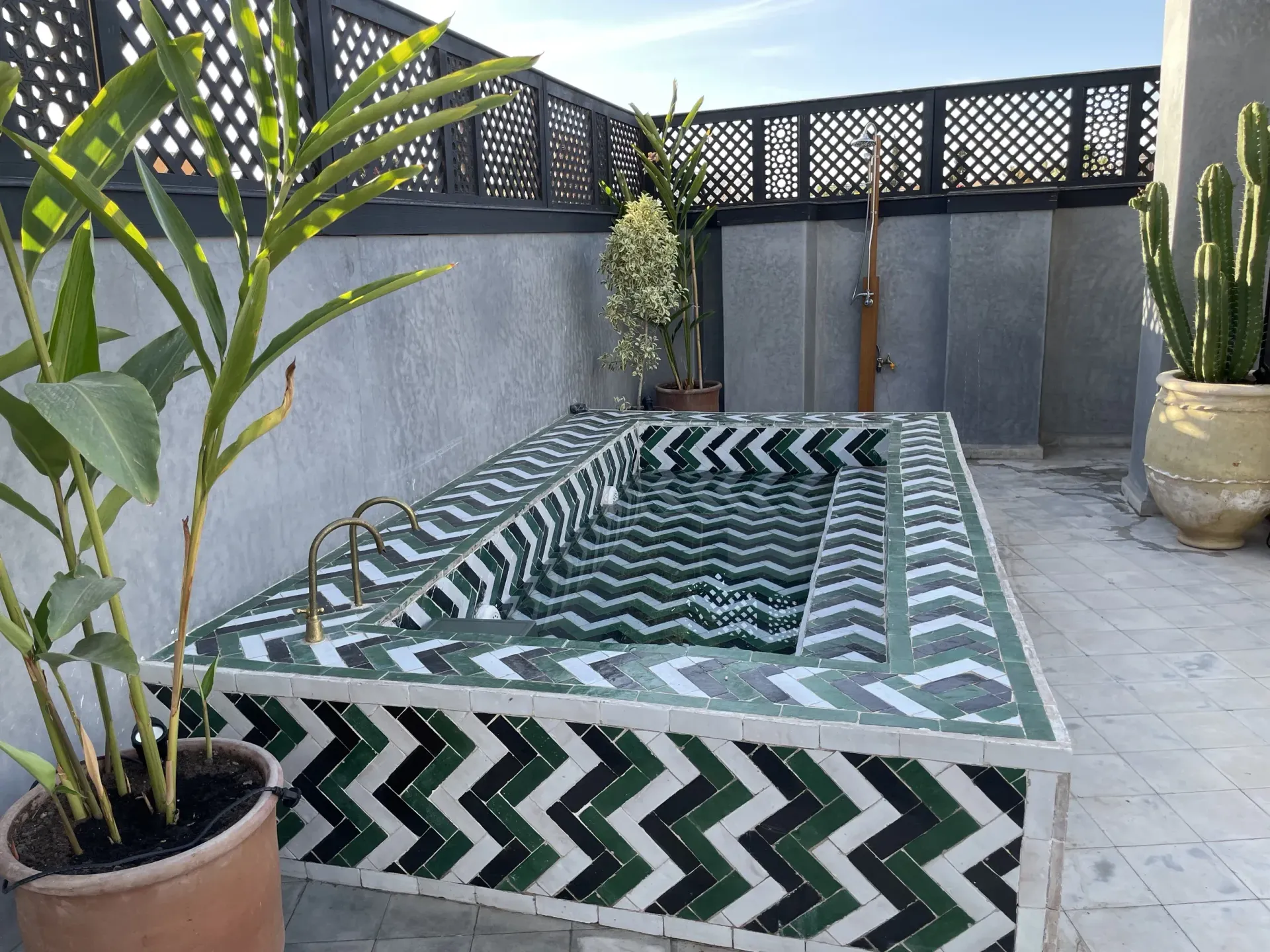 A green and white swimming pool with a chevron pattern is surrounded by potted plants.