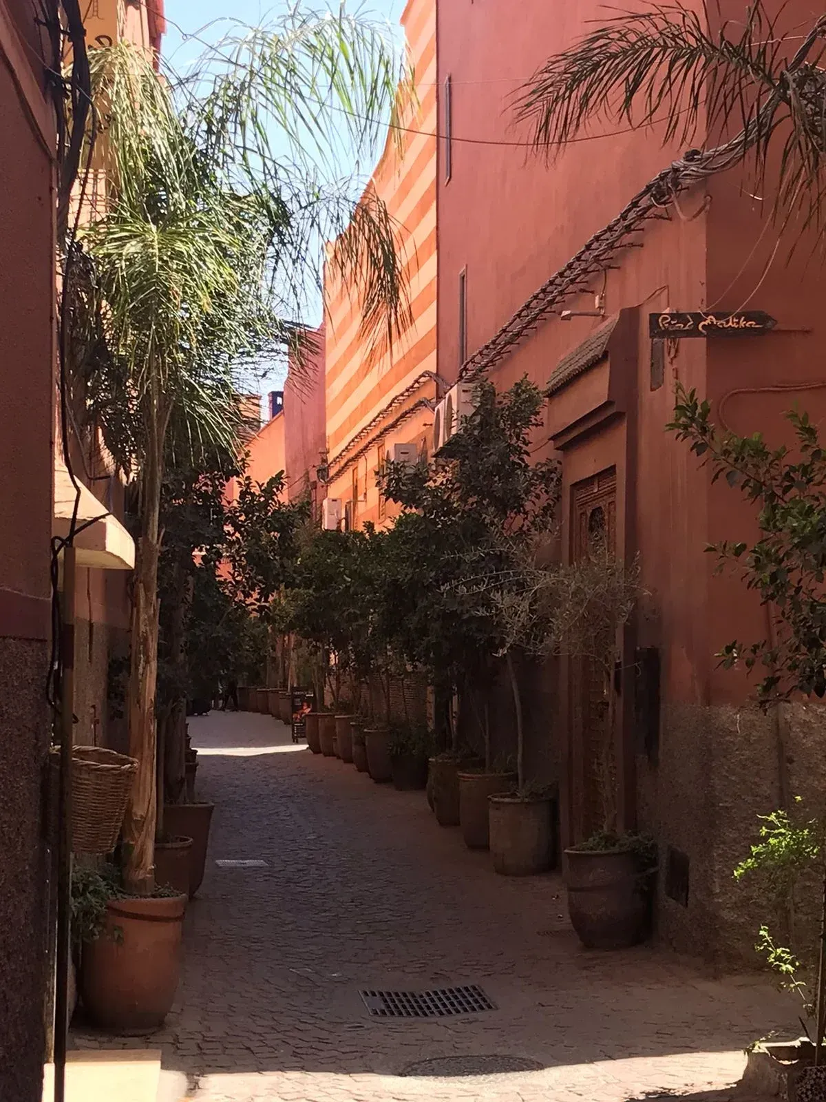 A narrow alleyway between two buildings with lots of potted plants