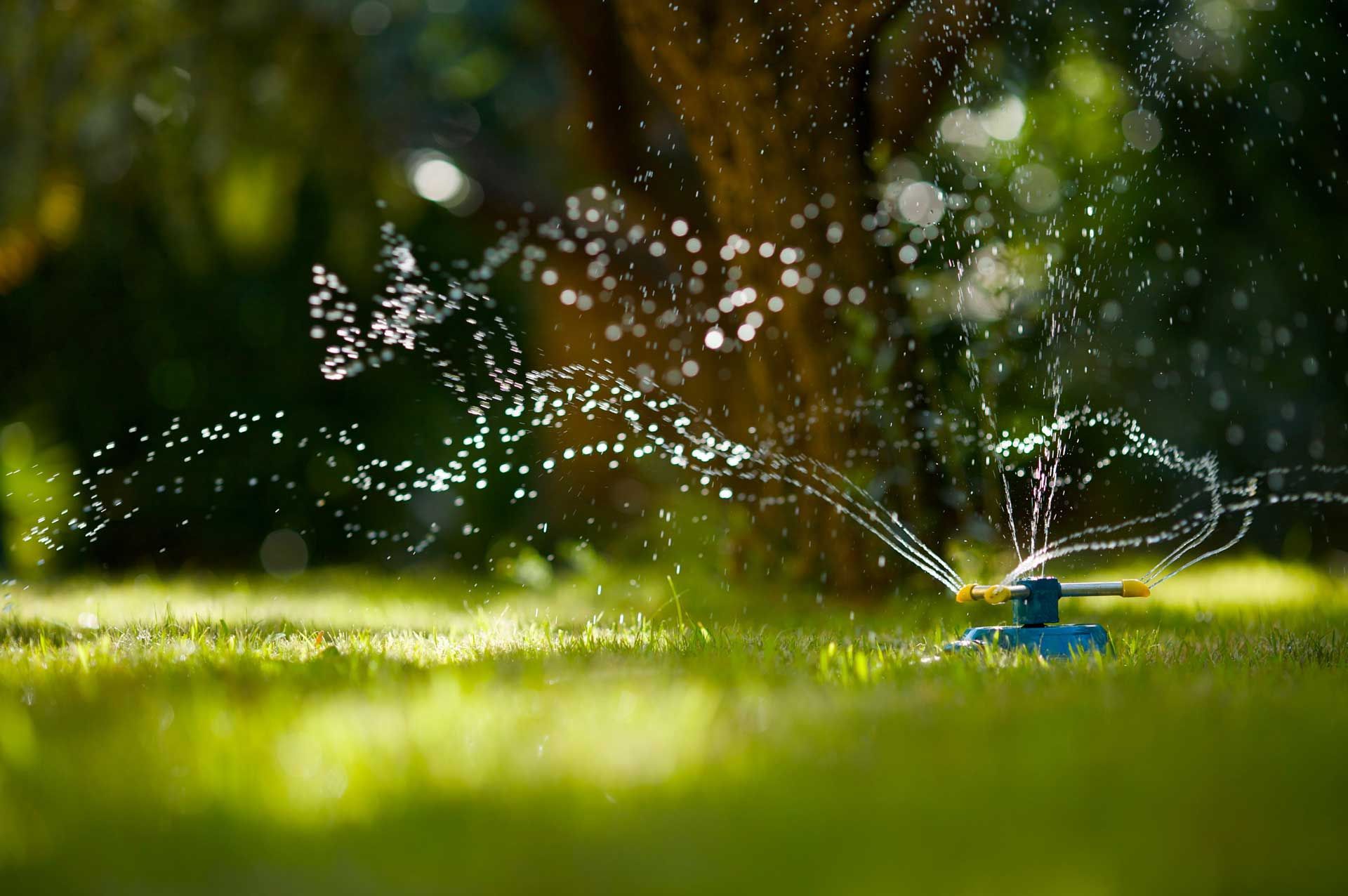 Sprinkler spraying water onto green grass on a sunny day.