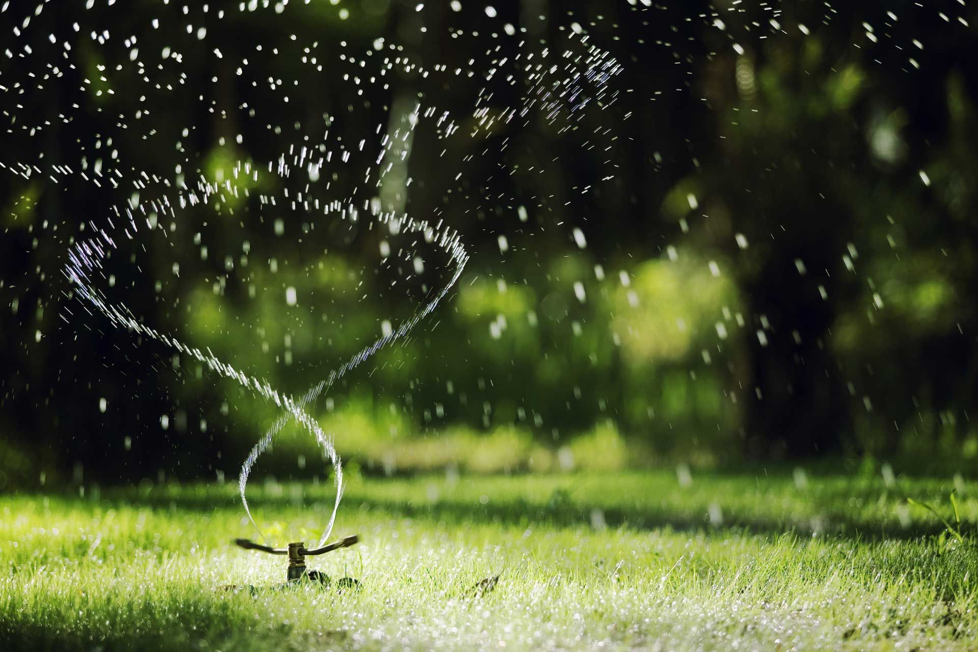 Sprinkler spraying water onto green grass; blurred background of trees and sunlight.