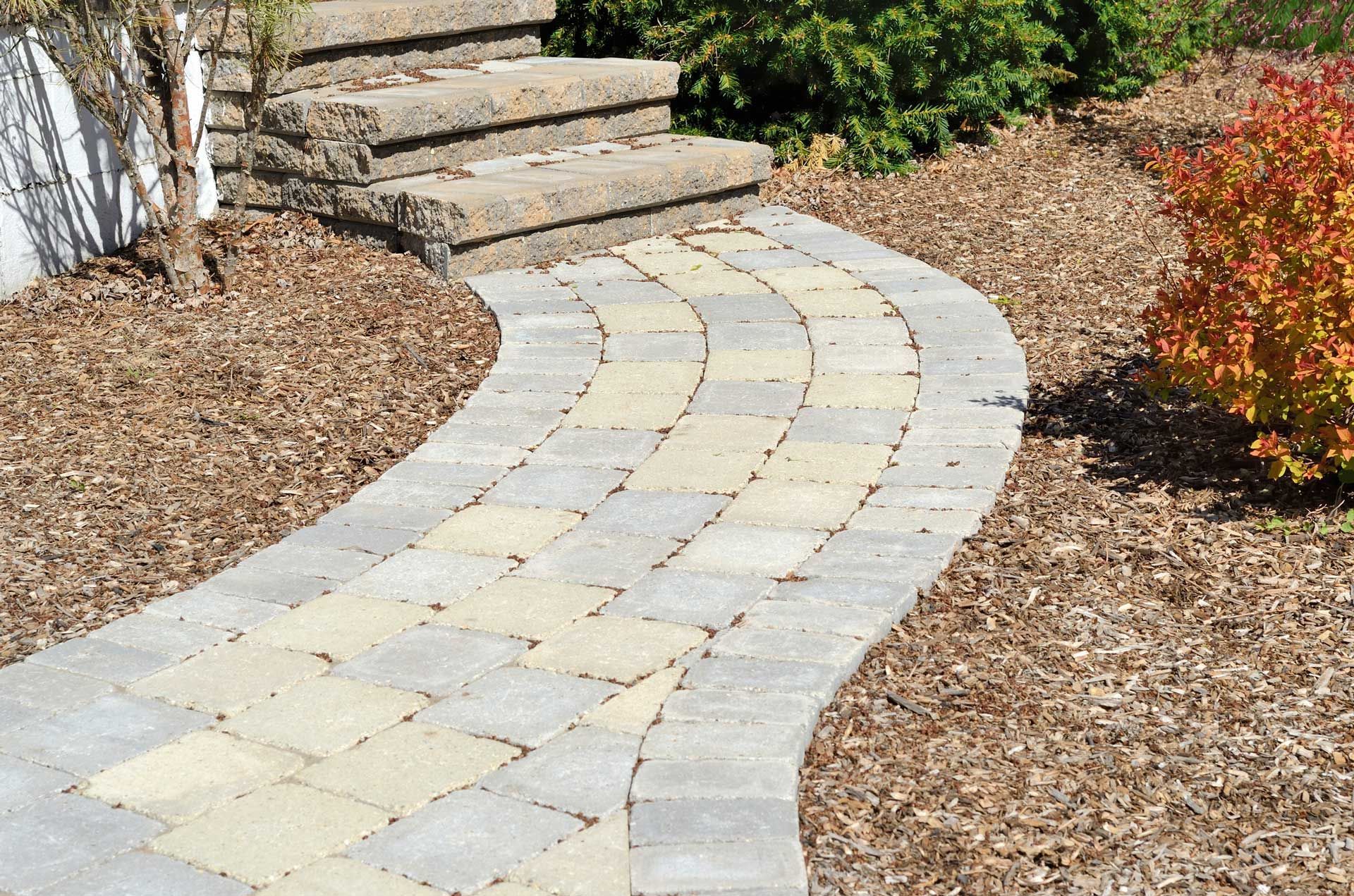 Stone pathway curves toward steps, bordered by wood chips and plants.