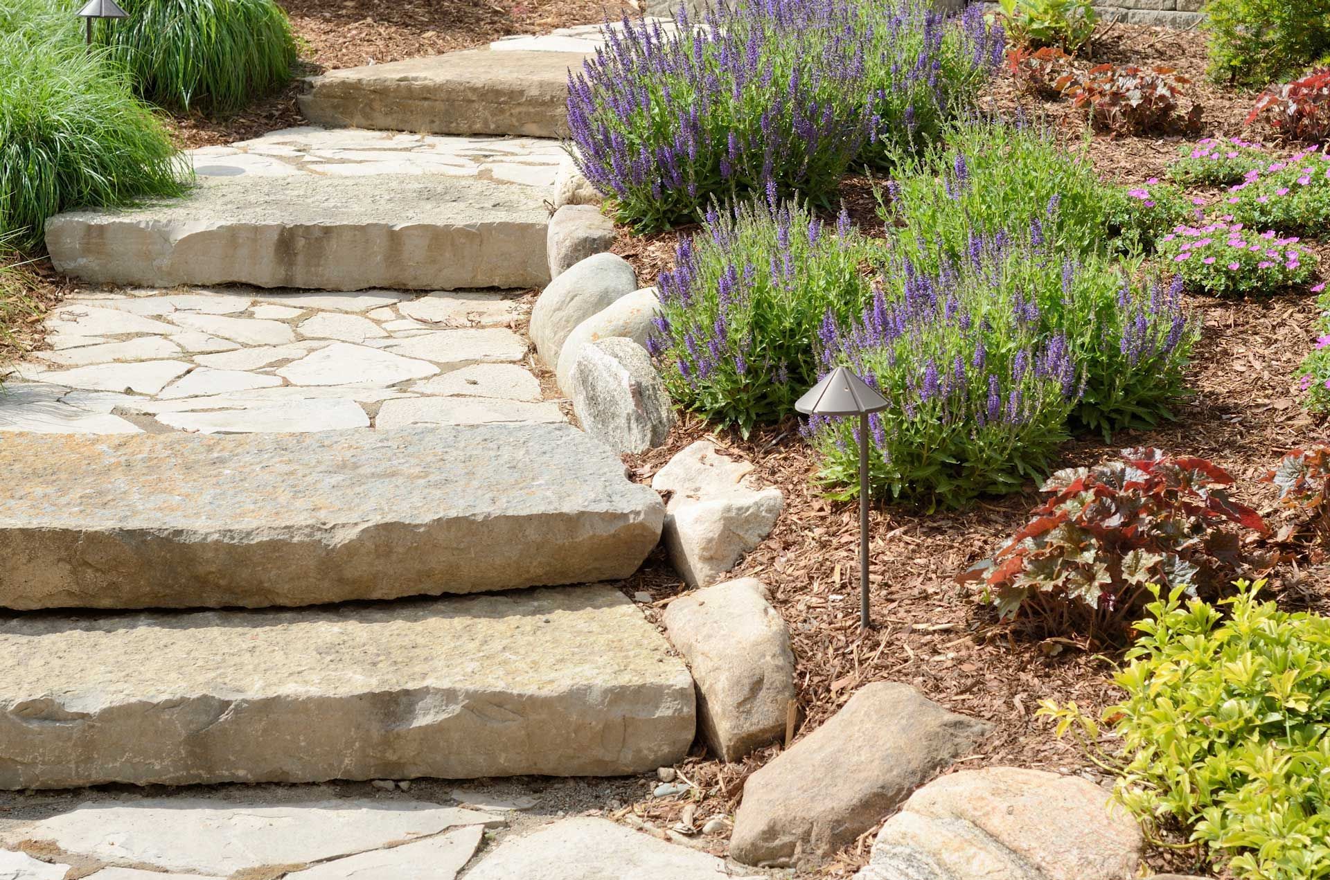 Stone steps in a garden with purple flowers, mulch, and landscaping. Stone steps in a garden with purple flowers, mulch, and landscaping.