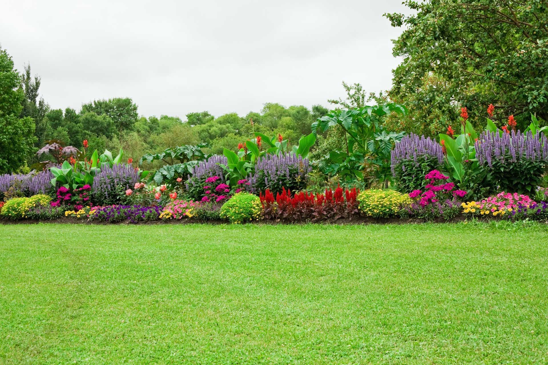 Lush garden bed with vibrant purple, red, and yellow flowers in front of green lawn and trees.