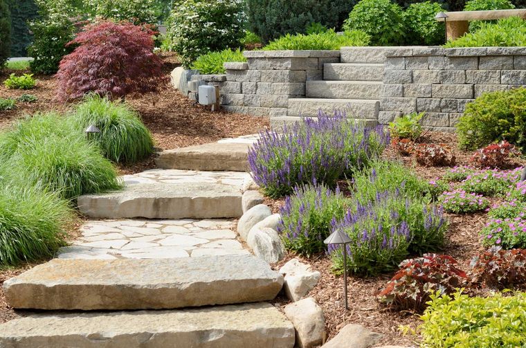 Stone steps and pathway through a terraced garden with blooming lavender and lush greenery.