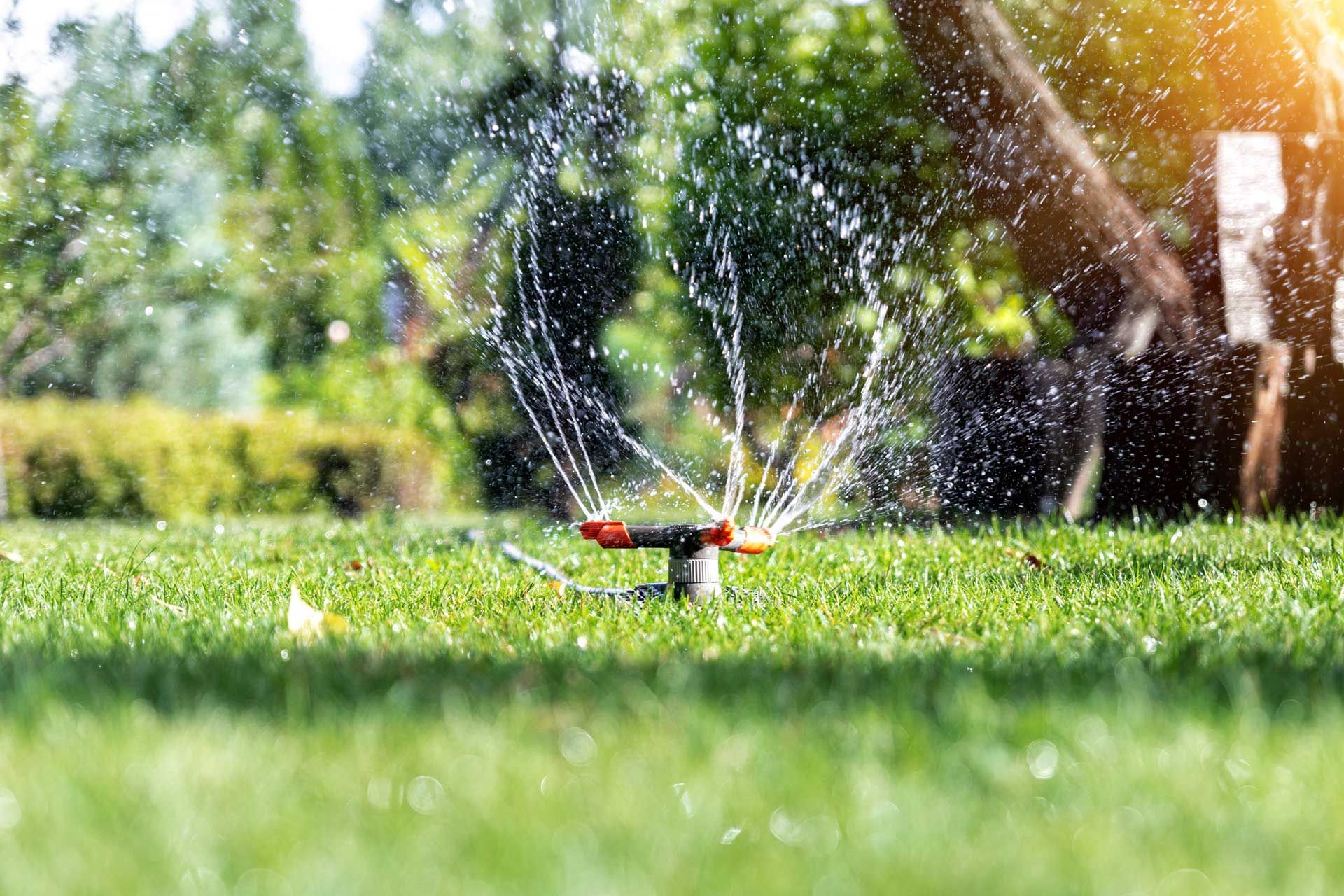 Lawn sprinkler spraying water on green grass in a sunny park setting.