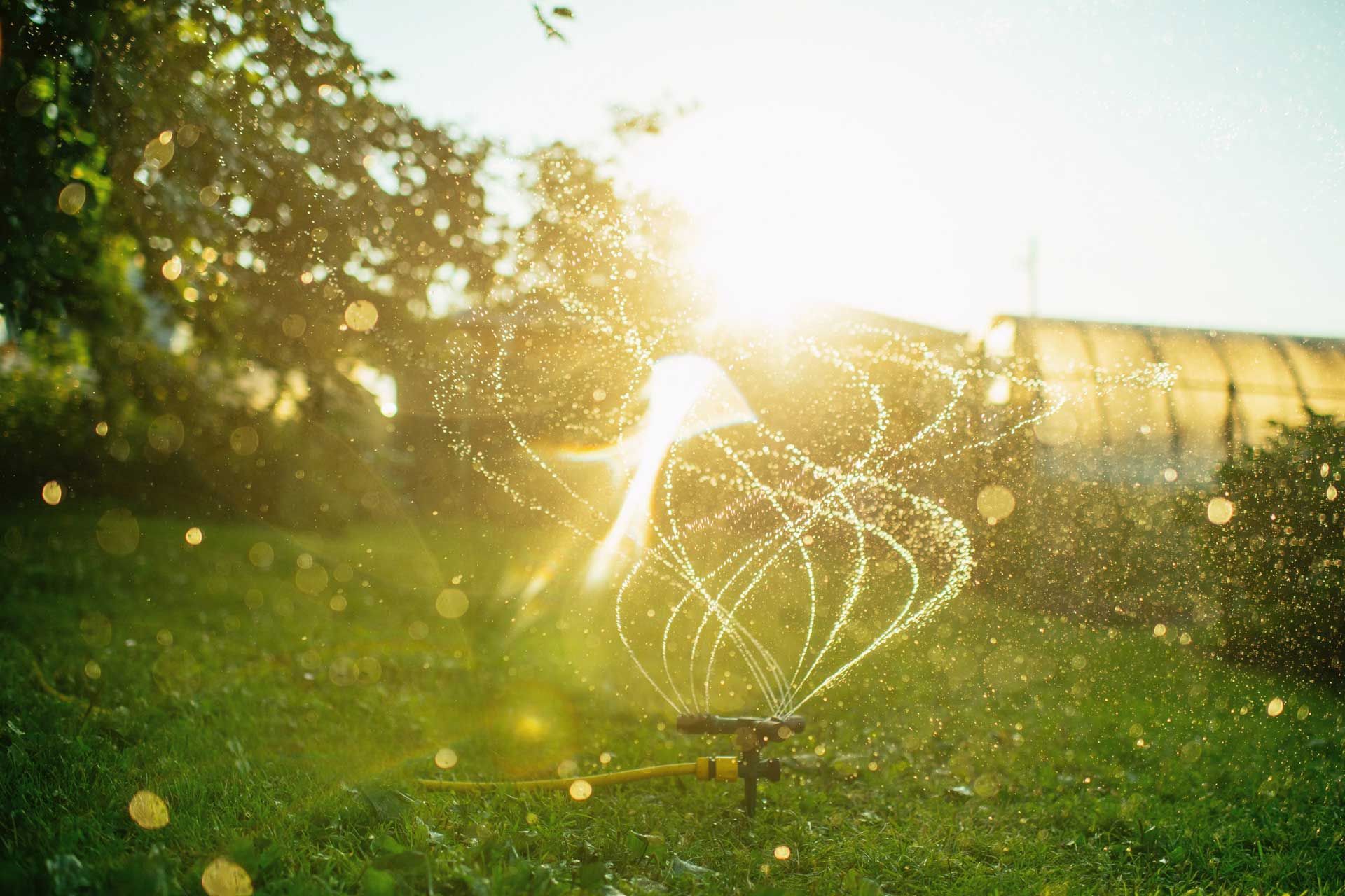 Lawn sprinkler sprays water in a sunlit garden, creating droplets and a bright halo effect.