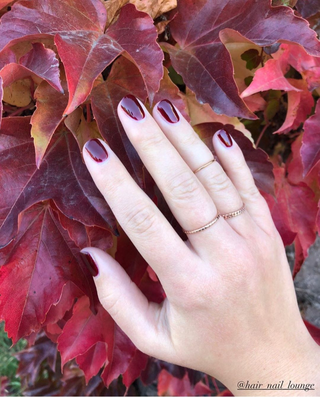 Eine Hand mit burgunderroten Nägeln und goldenen Ringen ruht auf roten Herbstblättern.