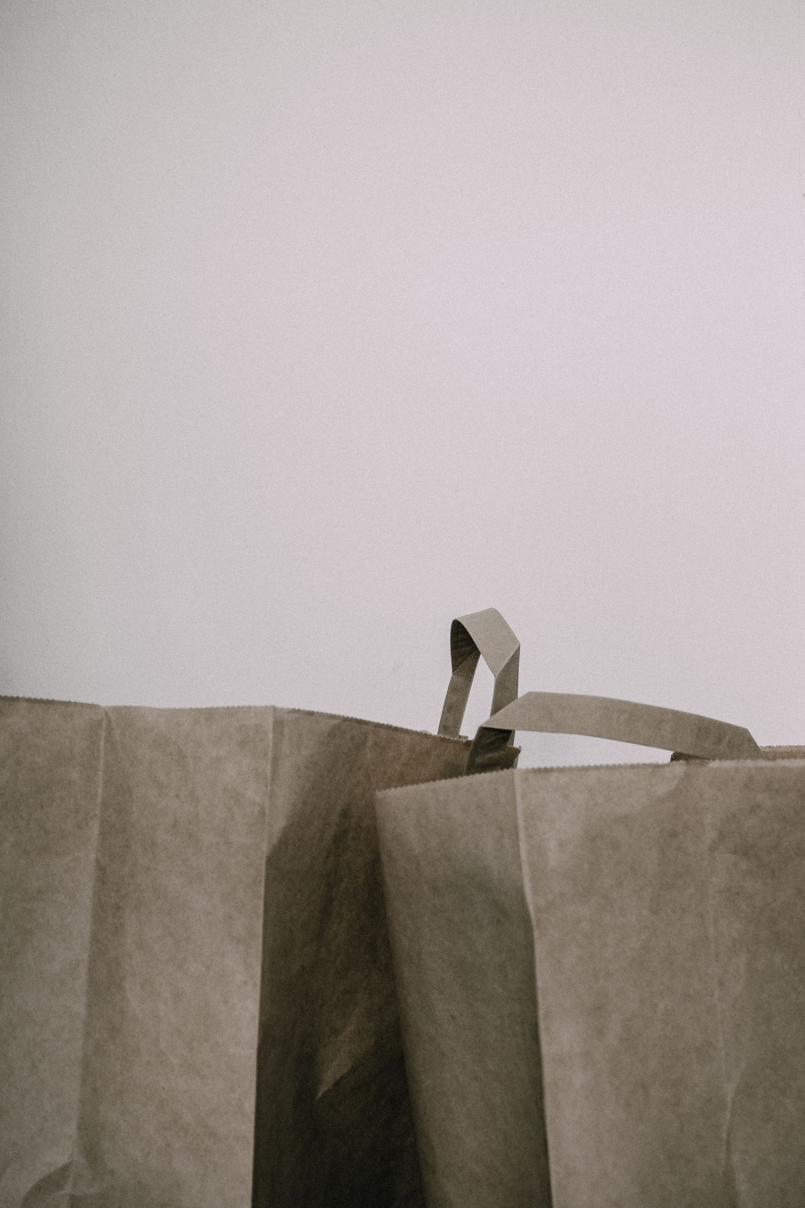 Two paper grocery bags standing on a kitchen counter