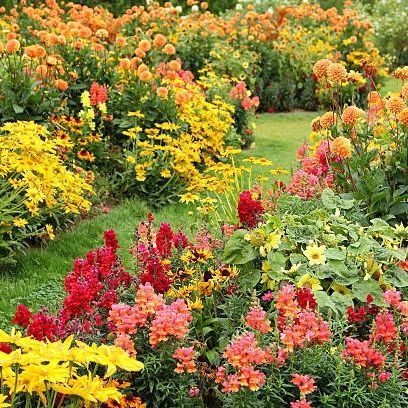 Salvia Flowers and Rock Retaining Wall — Lewiston, ID — Definitive Landscapes & Concrete, LLC Salvia Flowers and Rock Retaining Wall — Lewiston, ID — Definitive Landscapes & Concrete, LLC