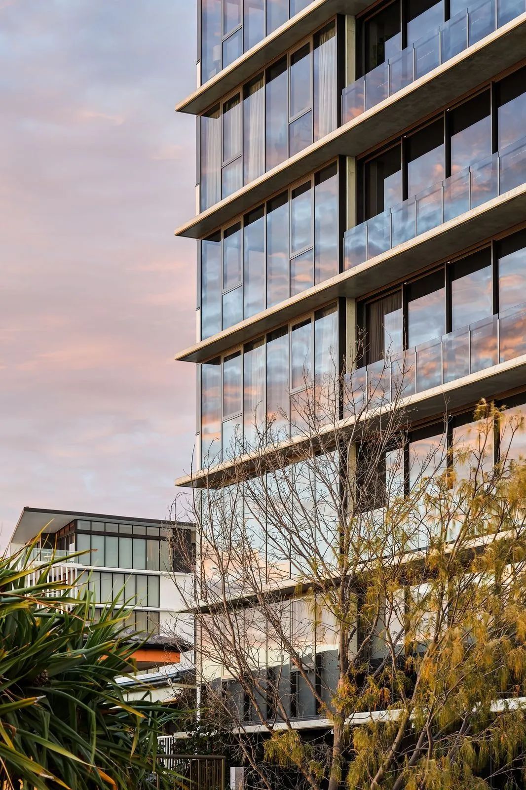 Modern glass office building beside trees under a pink sunset sky