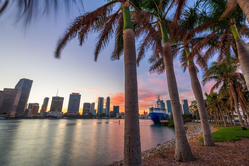 Palm-lined waterfront at sunset with city skyline and a boat on calm water