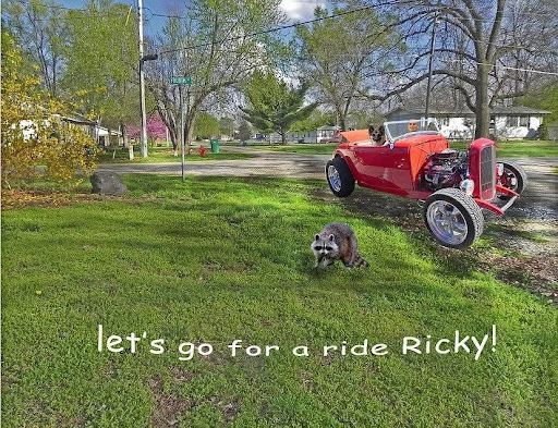 Red vintage car in a grassy yard with a small dog, captioned “Let’s go for a ride Ricky!”