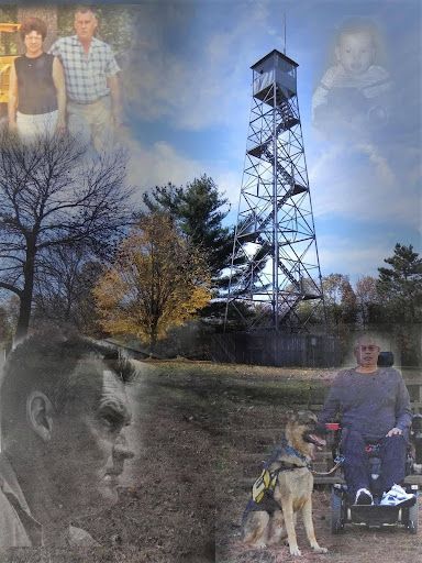 Collage of a fire tower, people, a dog, and a memorial portrait in a wooded park setting