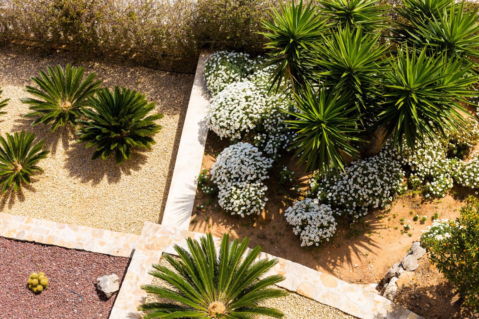 Beautiful Garden — Woodland, CA — Machado Landscape & Maintenance