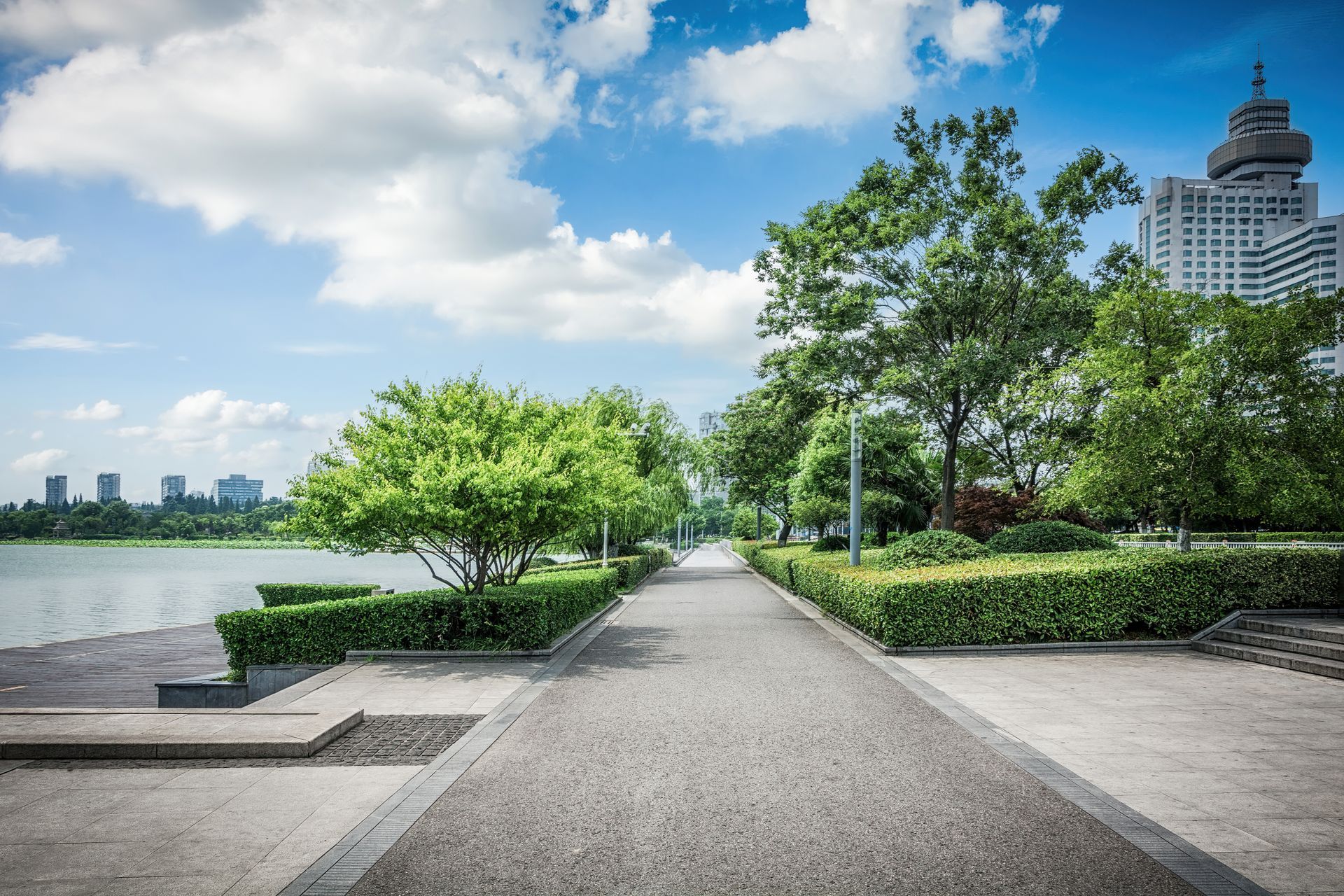 A concrete sidewalk in a park with trees and bushes leading to a lake.
