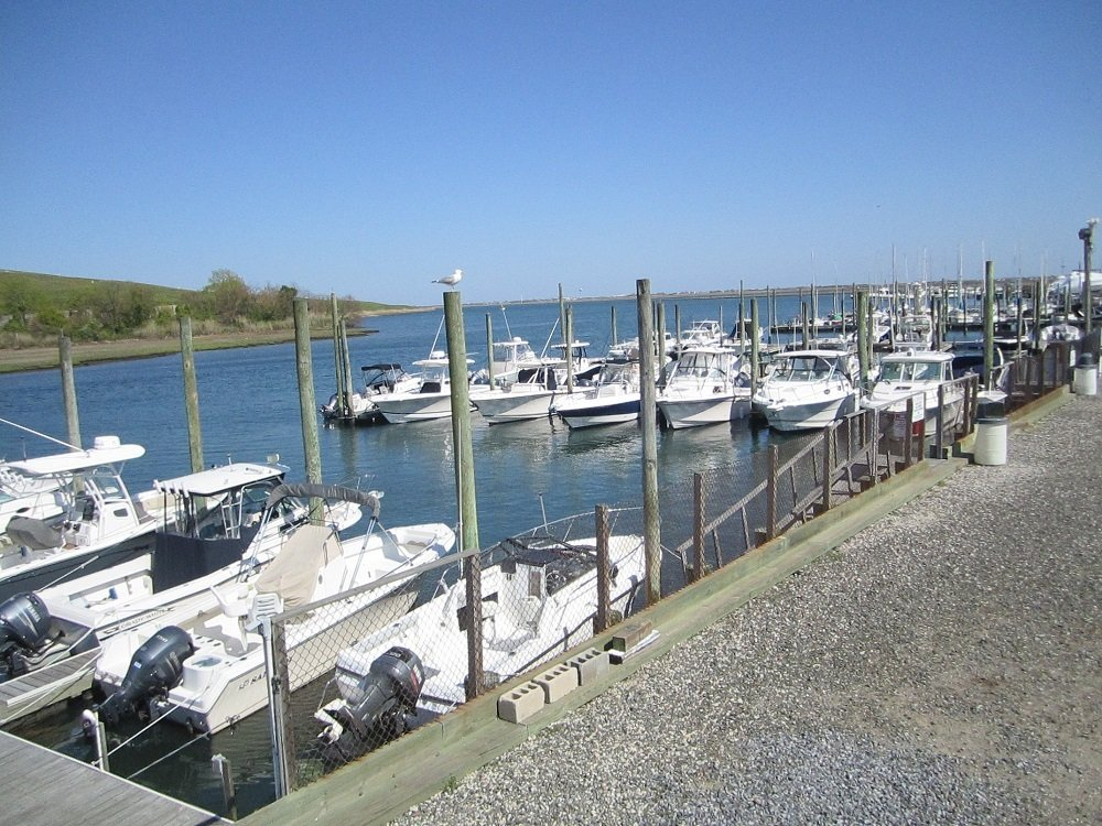 People Riding Sailfish Boat — Island Park, NY — K & K Outboard