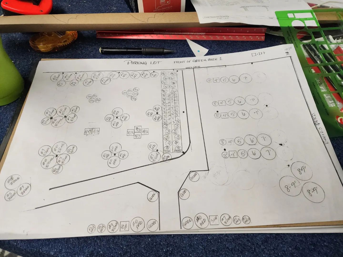 A piece of paper with a drawing of a garden on it