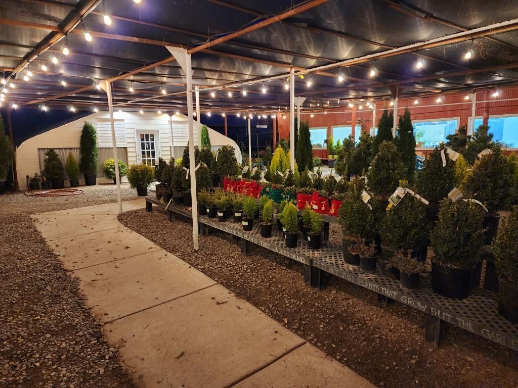 A garden center filled with lots of potted plants and trees at night.