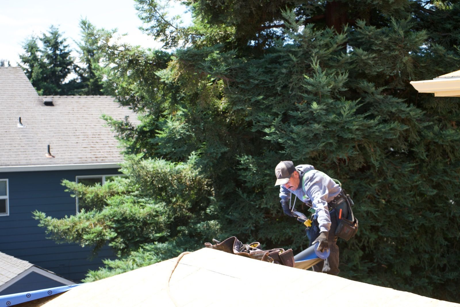 Roofer on a roof, working near a large tree, wearing a hat and tool belt.