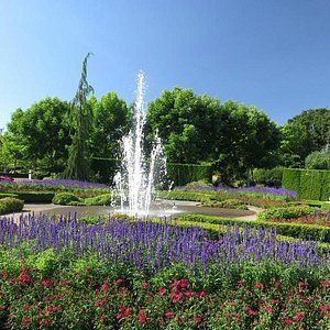 Fountain spraying water in a garden with purple and red flowers, green hedges, and trees under a blue sky.