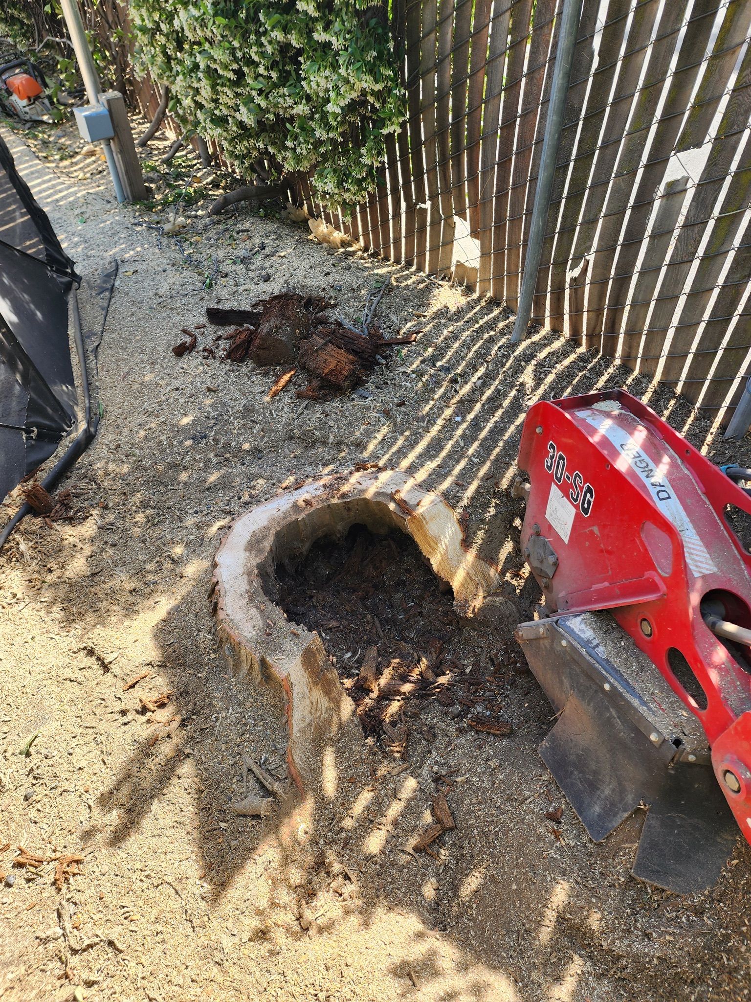 Professional Stump Grinding & Removal | Woodland, Sacramento & Davis