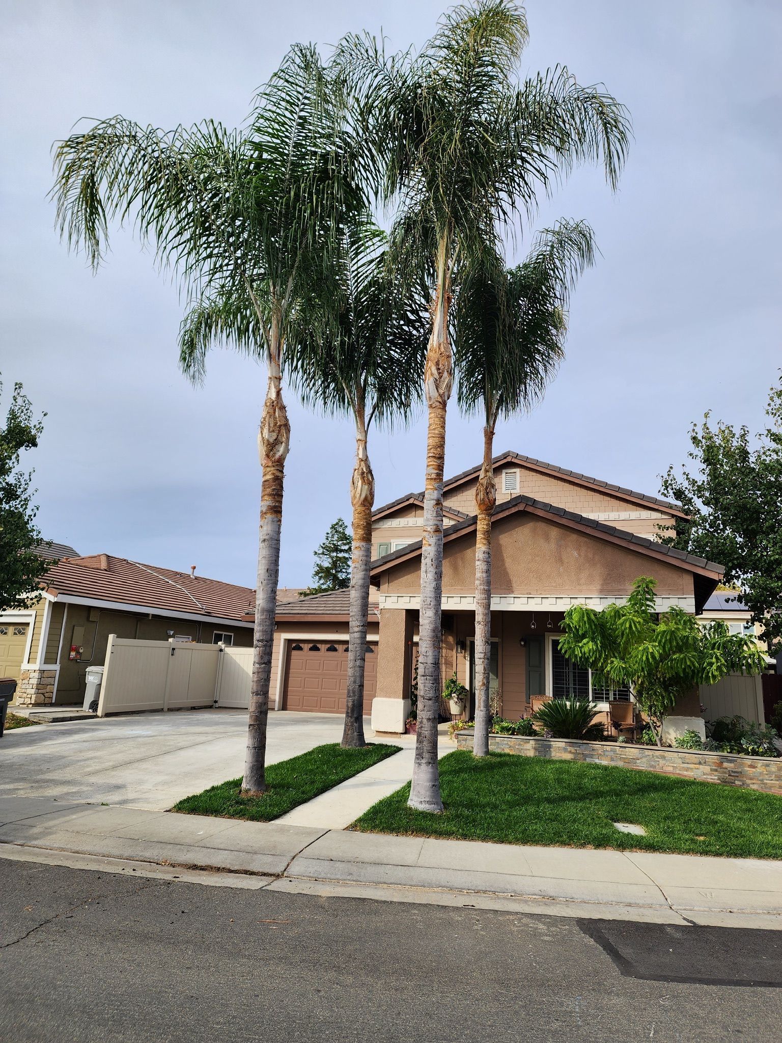 Suburban house with palm trees in front yard, driveway, and cloudy sky.