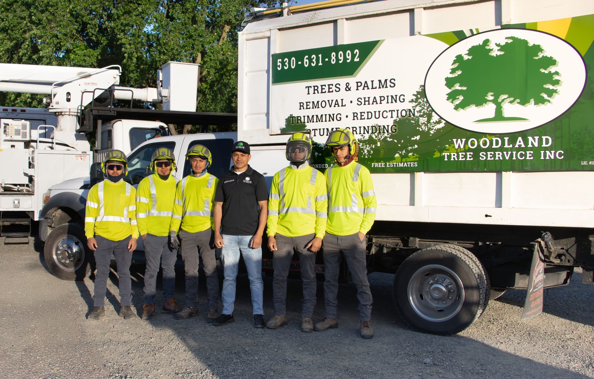 Professional tree trimming in Woodland CA