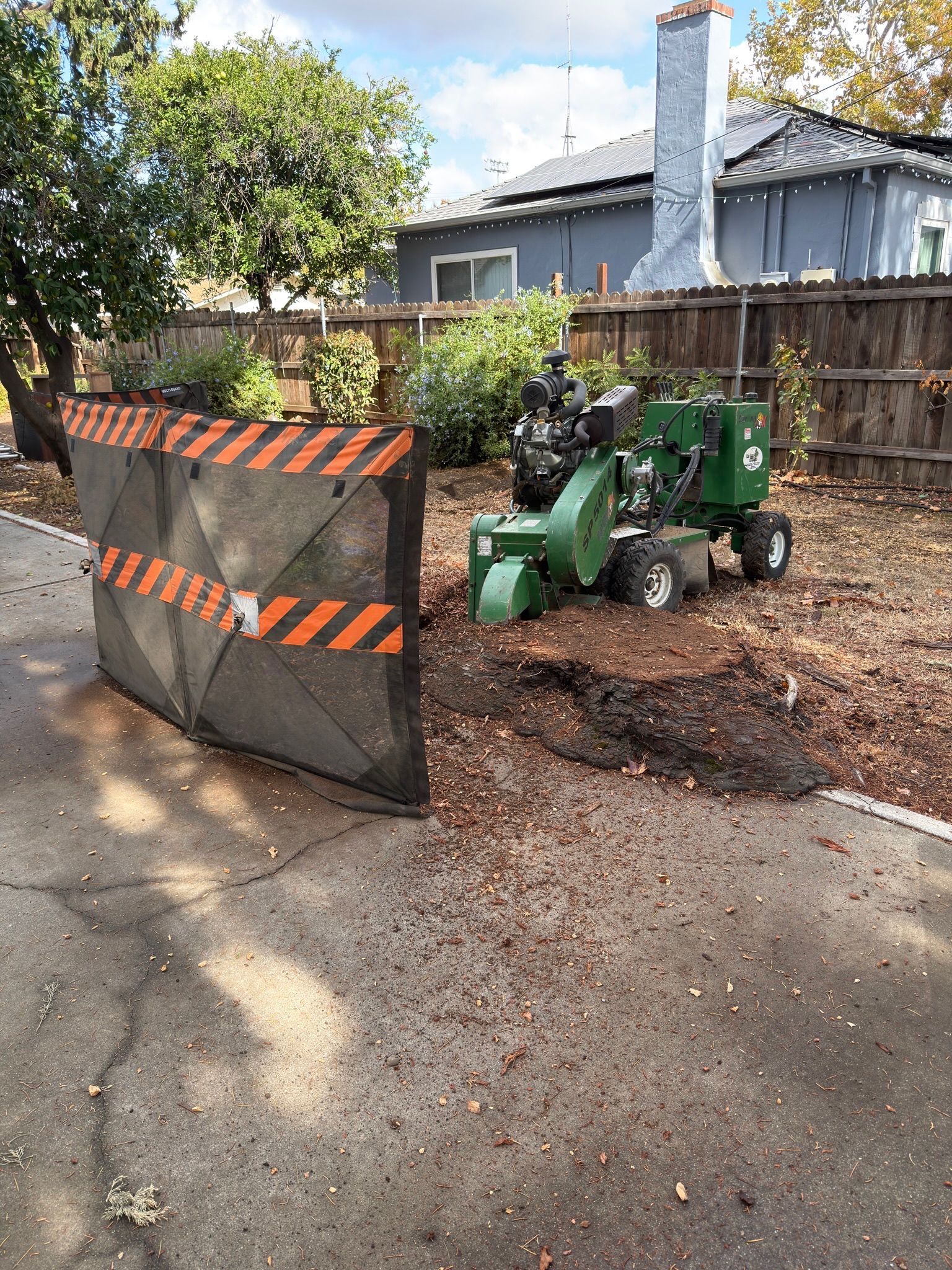 Tree stump grinder working in a yard, debris shield, asphalt driveway, fence and houses in the background.