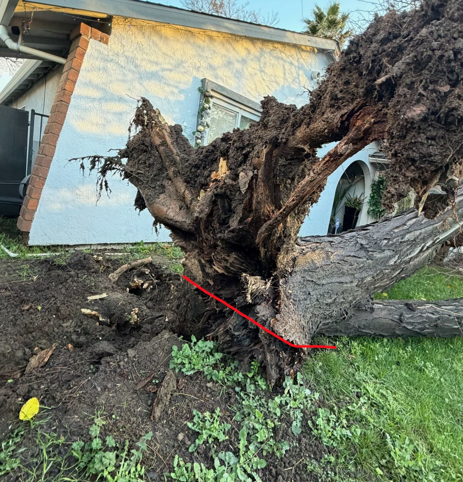 Emergency Fallen Tree Removal After Winter Storm