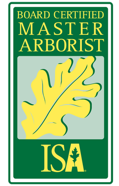 isa certified arborist