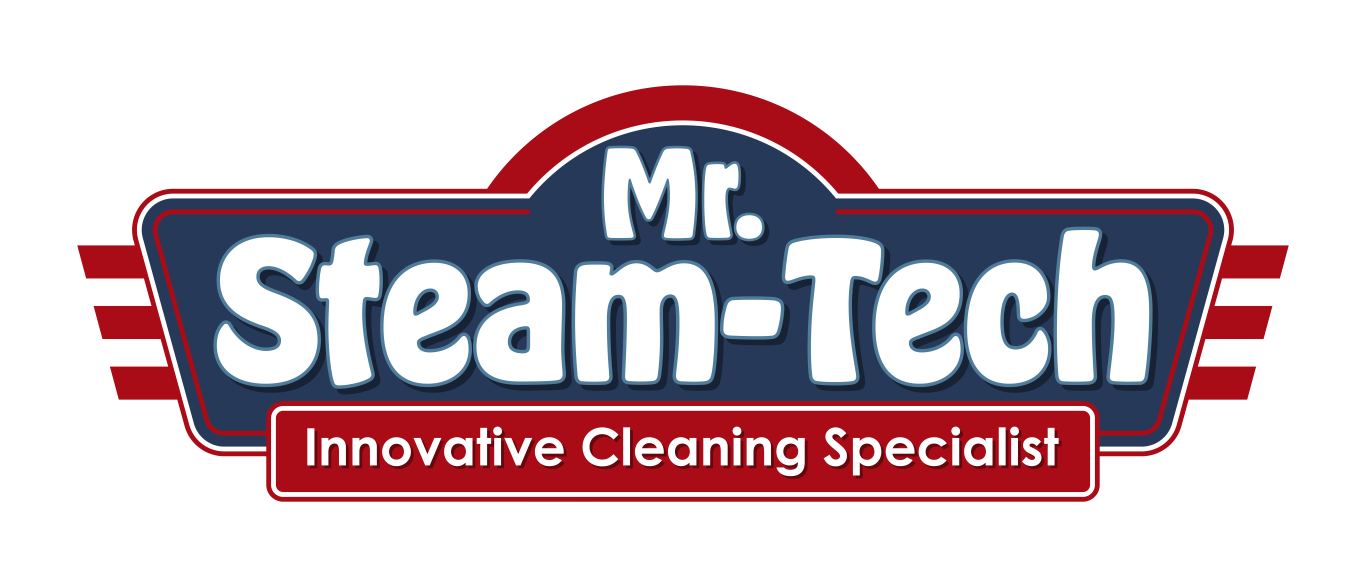 mr. steam tech business logo