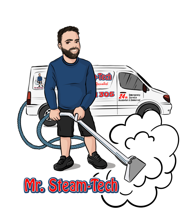 mr. steam tech business logo