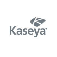 Virtual CIO | Virtual IT Manager | Kaseya Liberty Ship Technology