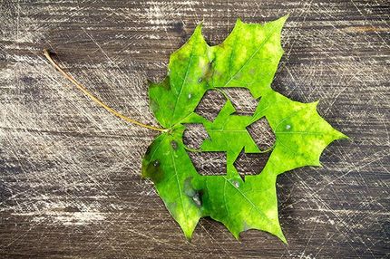 Green leaf cut into a recycling symbol on weathered wood background
