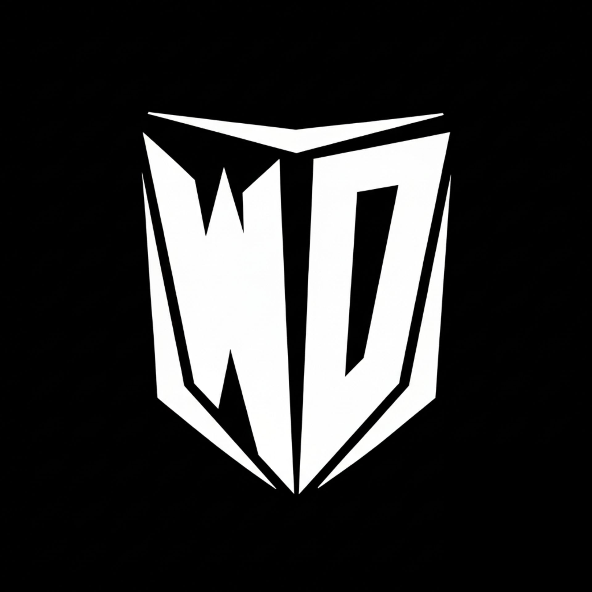 Winslow Drone Logo