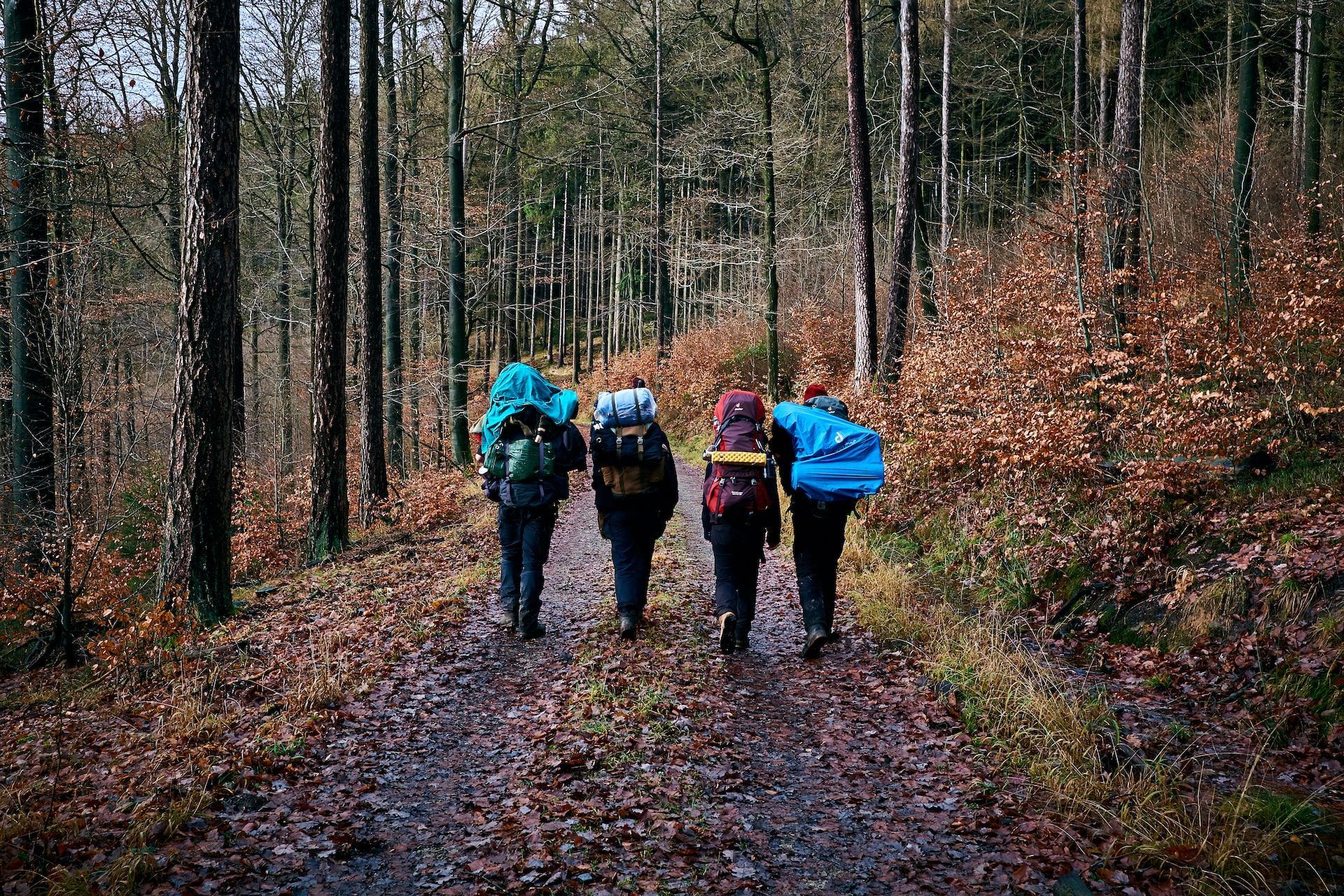 hikers