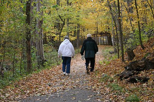 Nature Trails