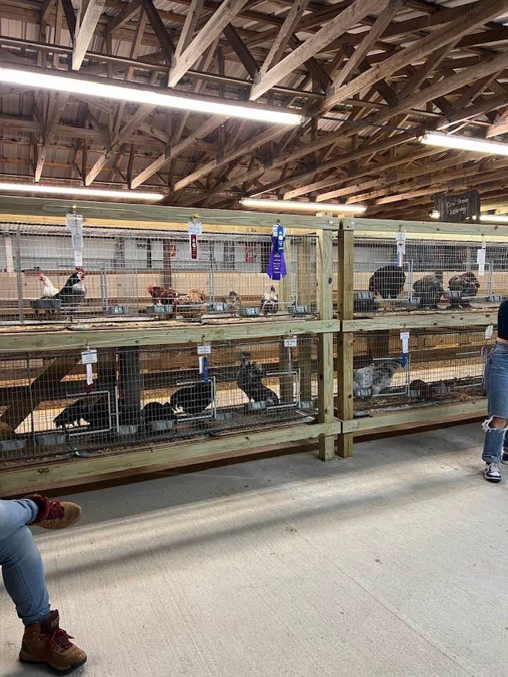 Indoor factory floor with a large fenced machine, fluorescent lights, and a worker standing nearby.