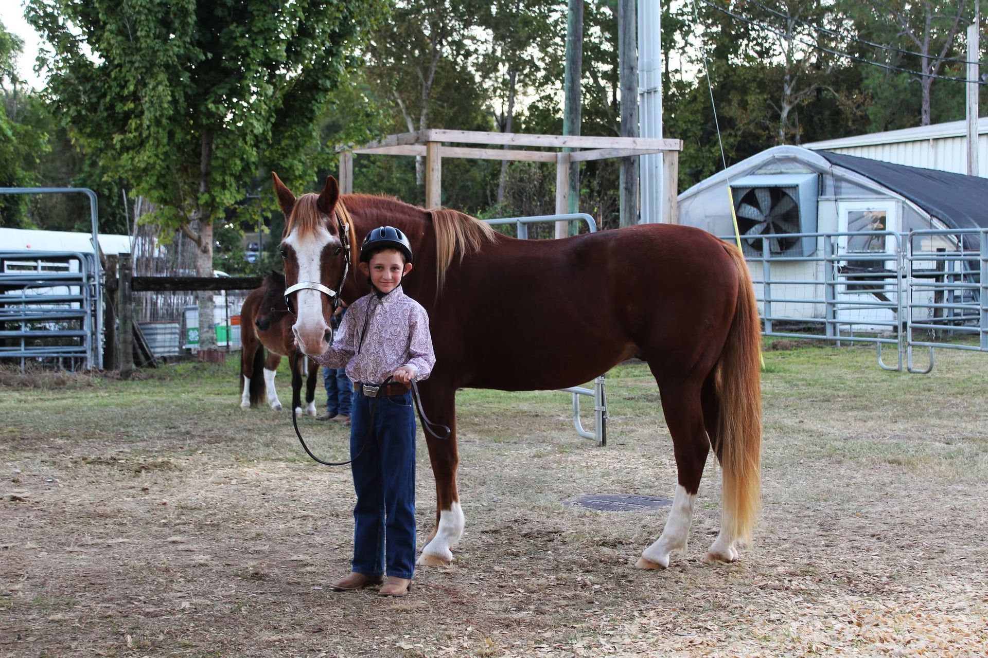 Boy standing beside a brown horse in a fenced paddock, with another horse in the background
