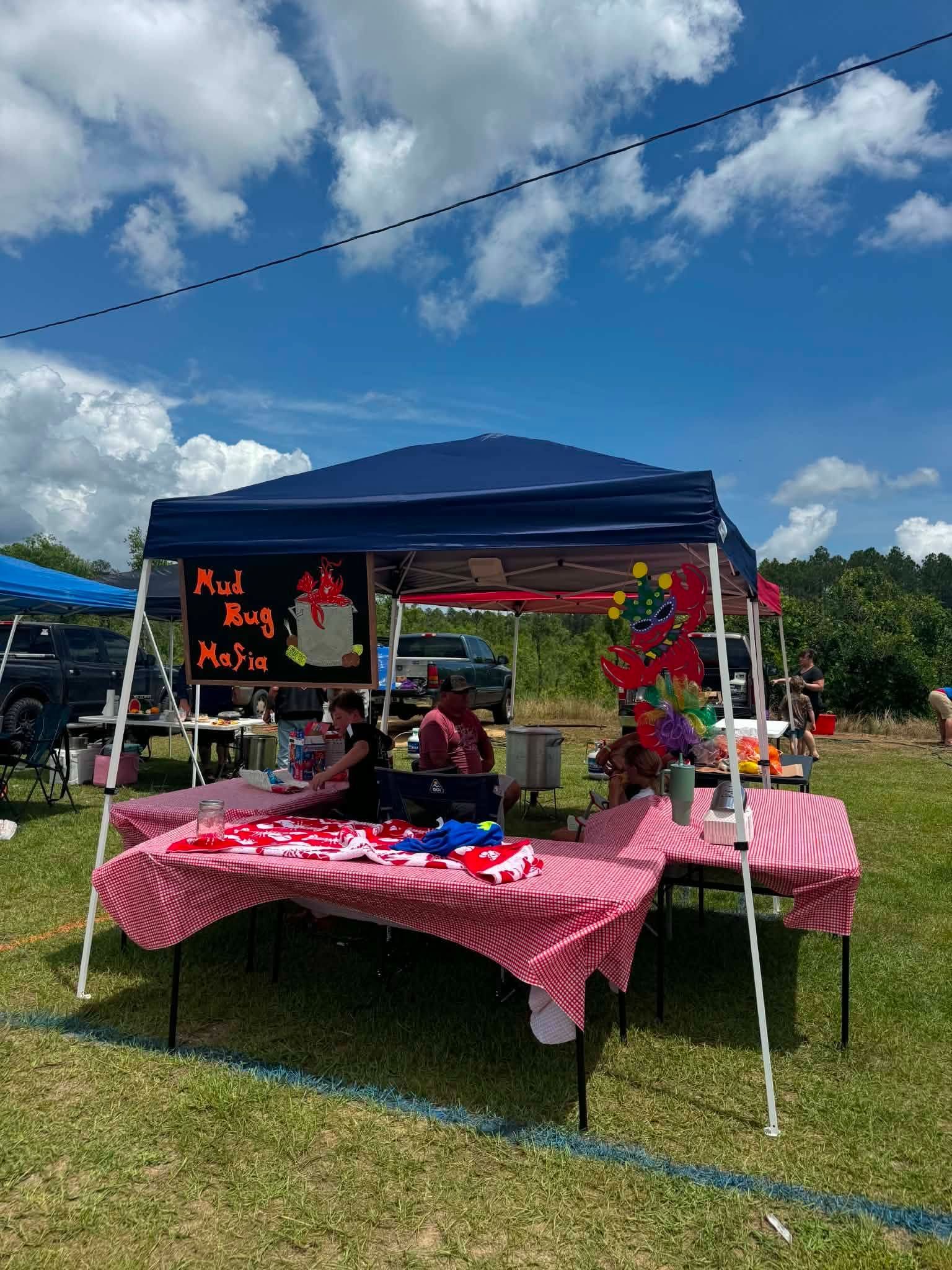Outdoor market stall under a blue canopy with red checkered tablecloths and colorful flowers on display
