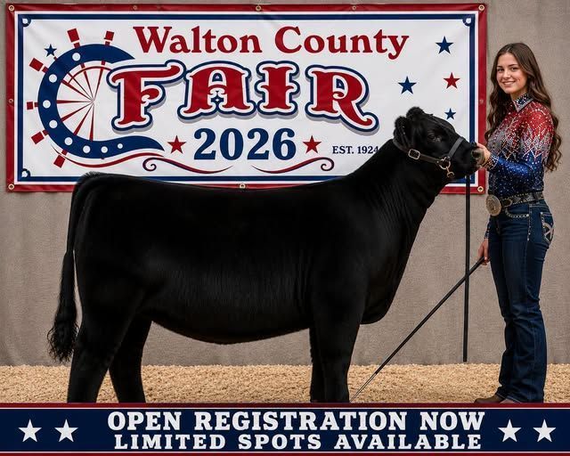 Walton County Fair rabbits registration poster with rabbit illustration, red and blue text, and event details