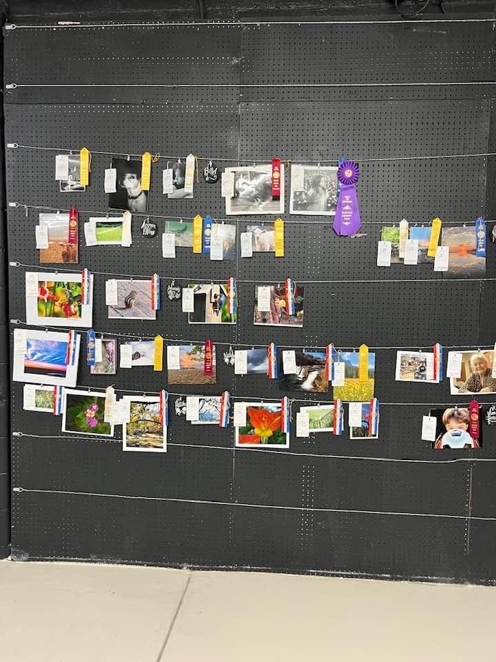 Canning exhibit entry