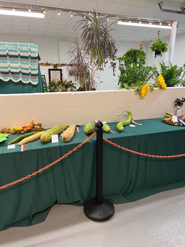 Plant exhibit entry