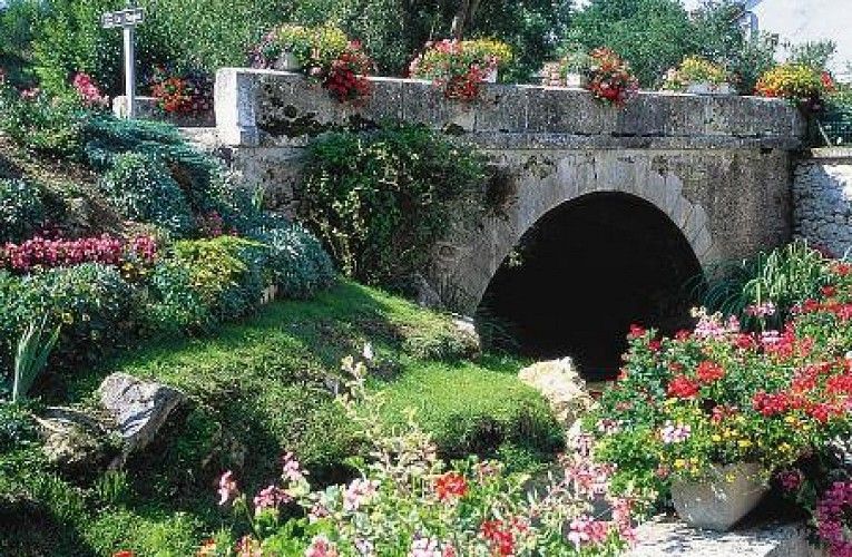 Un pont de pierre sur un tunnel entouré de fleurs